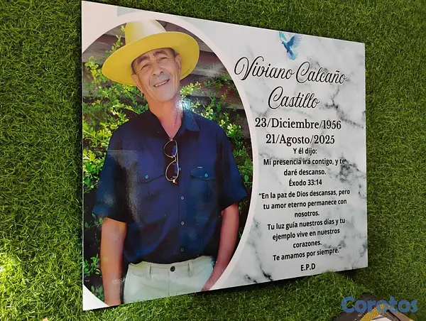 servicios profesionales - LAPIDAS MENDEZ, LA MEJOR CALIDAD 10