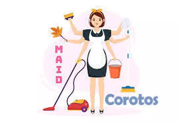 servicios profesionales - SERVICIOS DE LIMPIEZA A DOMICILIO SABADOS, DOMINGO 4
