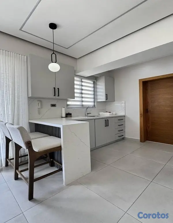 apartamentos - 1 Habitación Amueblado En Piantini 5