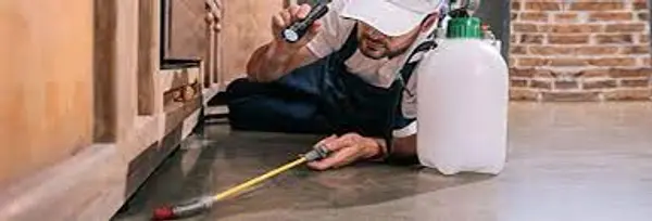 empleos disponibles - Se solicita técnico  fumigador  
 1