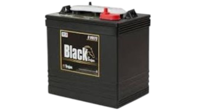 plantas e inversores - BATERIA TROJAN BLACK