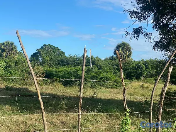 solares y terrenos - HERMOSO TERRENO EN PRIMERA LINEA DE LA VIA PRINCIP 4