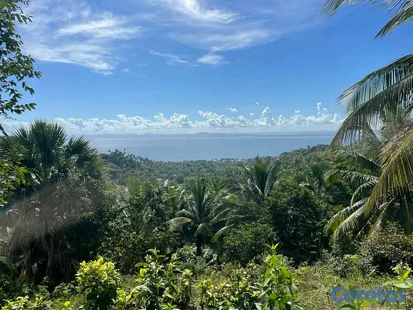 solares y terrenos - Terrenos con vista al mar 5
