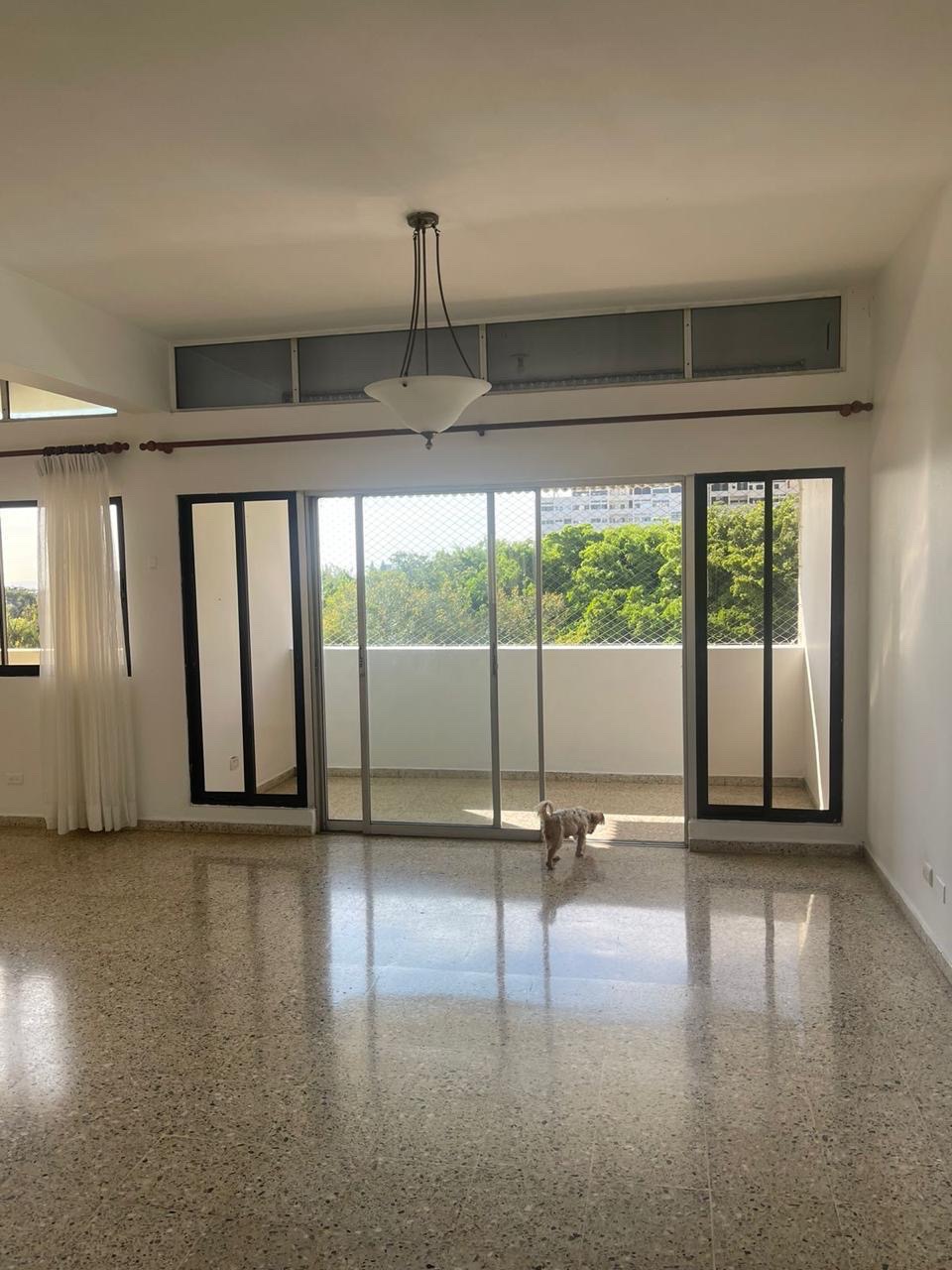apartamentos - apartamento céntrico en una zona tranquila en bella vista  9