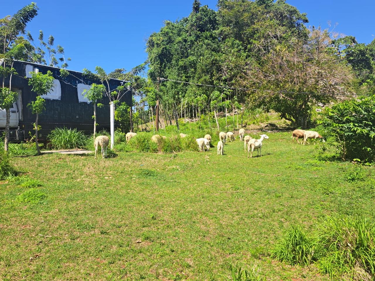 solares y terrenos - TERRENO ECOTURÍSTICO EN RÍO SAN JUAN 2