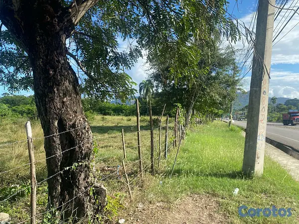 solares y terrenos - HERMOSO TERRENO EN PRIMERA LINEA DE LA VIA PRINCIP 5