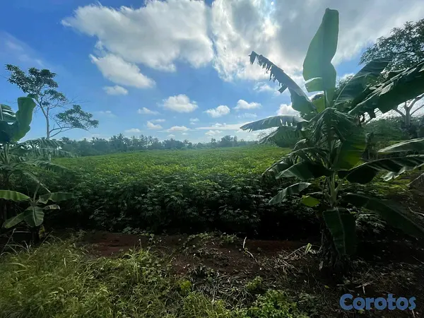 otros inmuebles - finca de 42 tareas en monte plata  5