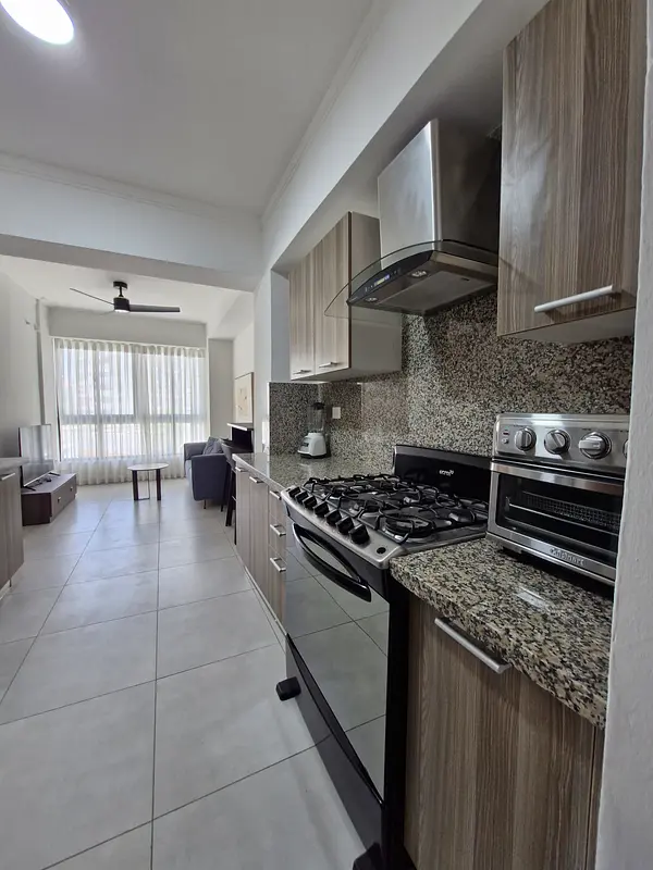 apartamentos - Apartamentos amueblados cerca Av. Mexico 4