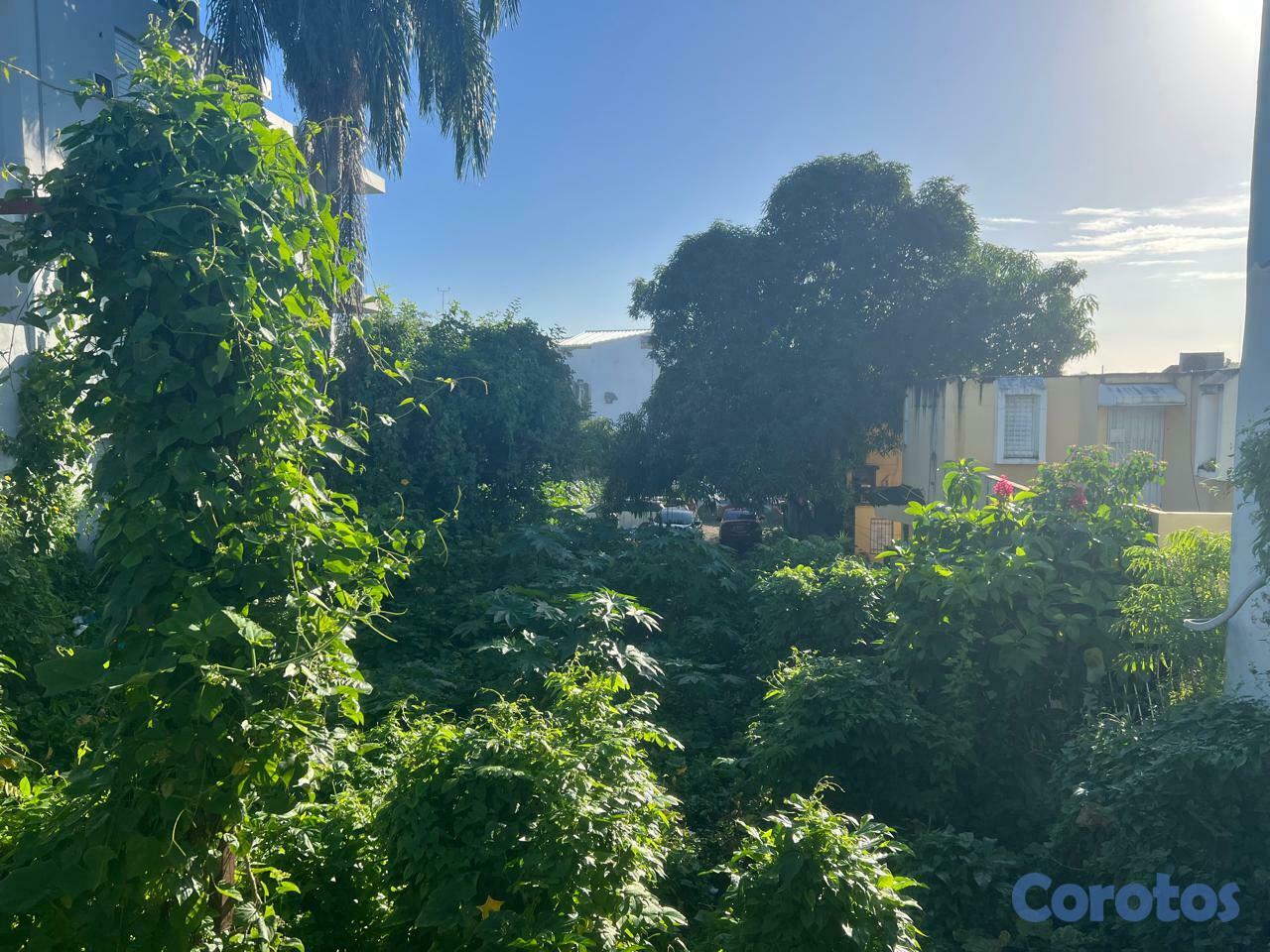 solares y terrenos - SOLAR DE 1,200 MTS.2 EN HERRERA, EN LA MISMA ISABE 4