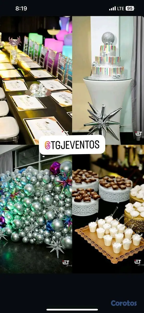 servicios profesionales - TGJ Eventos  3