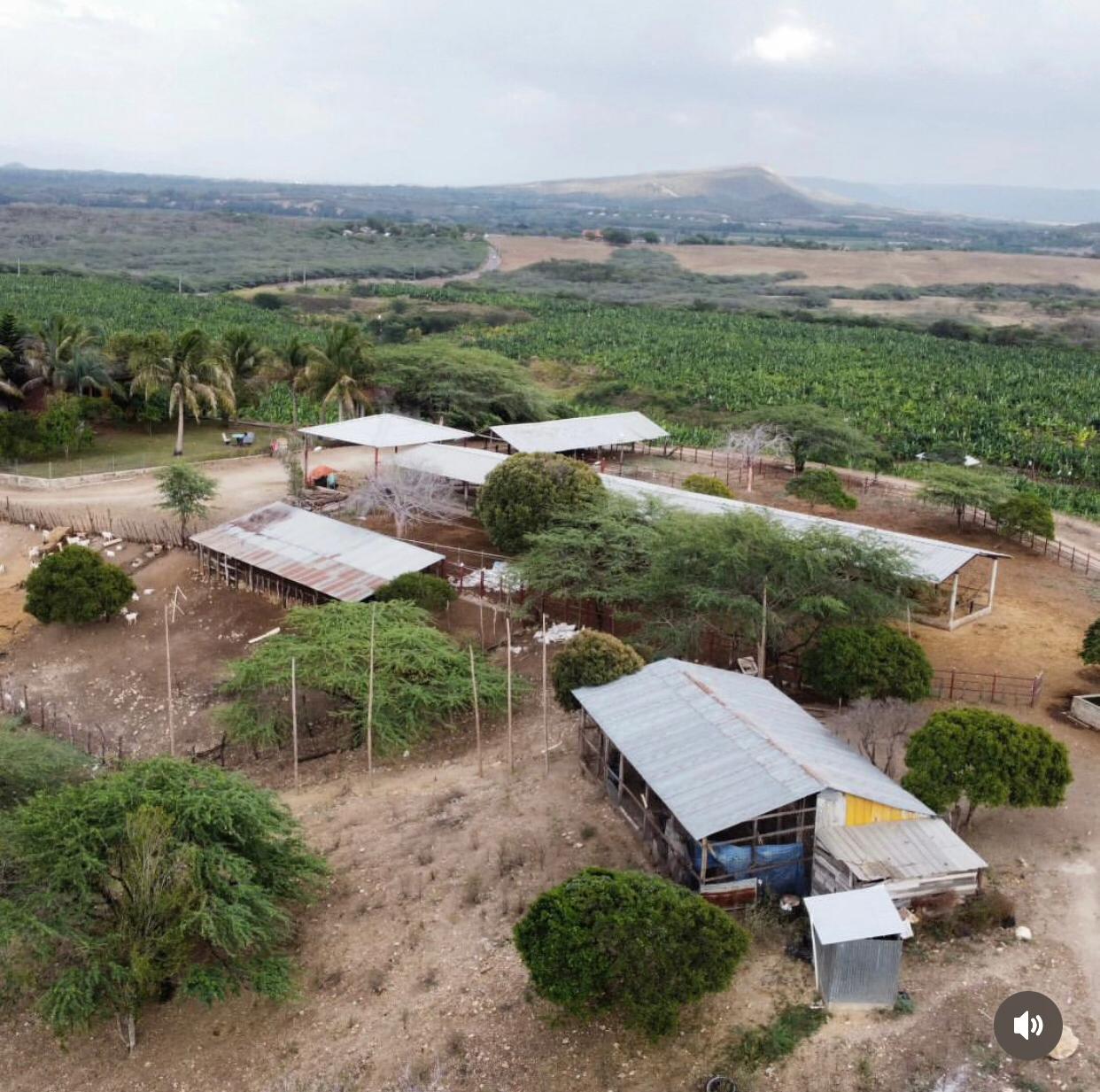 solares y terrenos - Terreno 4,000 Tareas en Amina, Mao 1