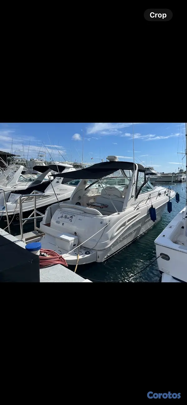 botes - Lancha Sea Ray Sundancer 365 (36 pies) , Diesel 9