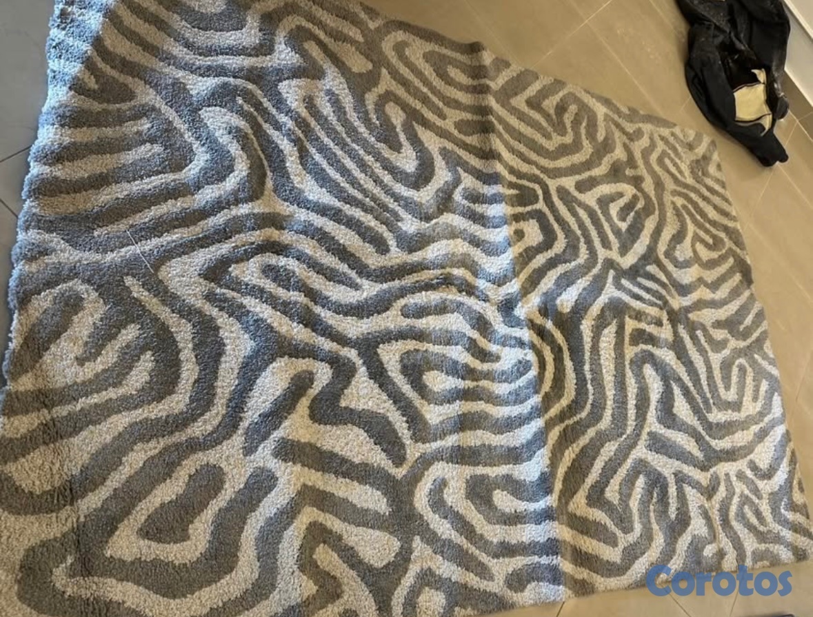 decoración y accesorios - Alfombra casa cuesta  3