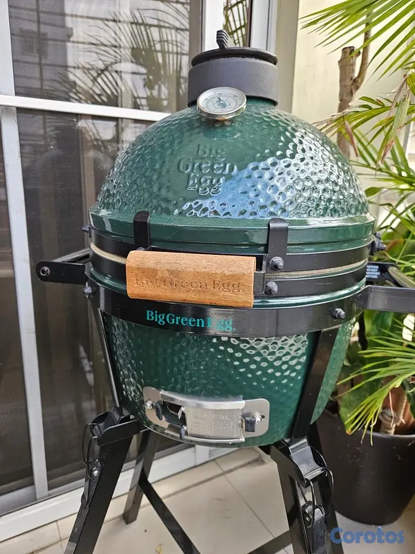 cocina - Big Green Egg Minimax 4