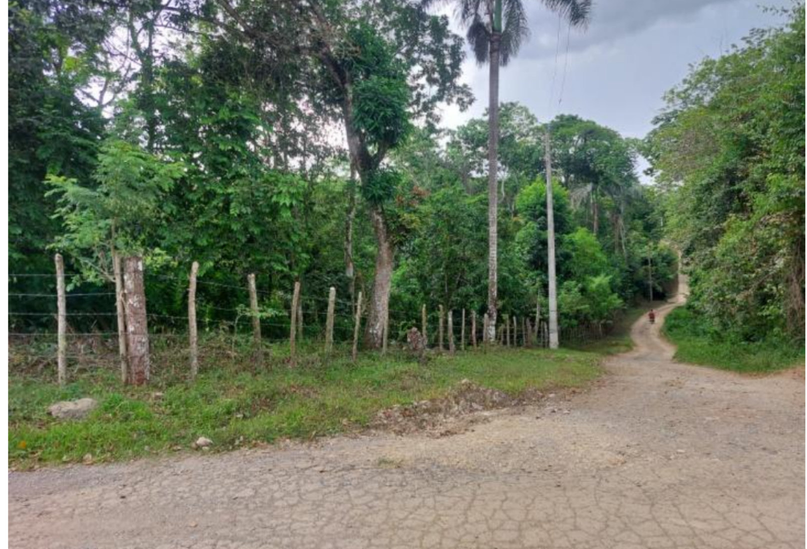 solares y terrenos - Terreno en Venta en Carretera La Isabela próximo a la Autopista Duarte 2