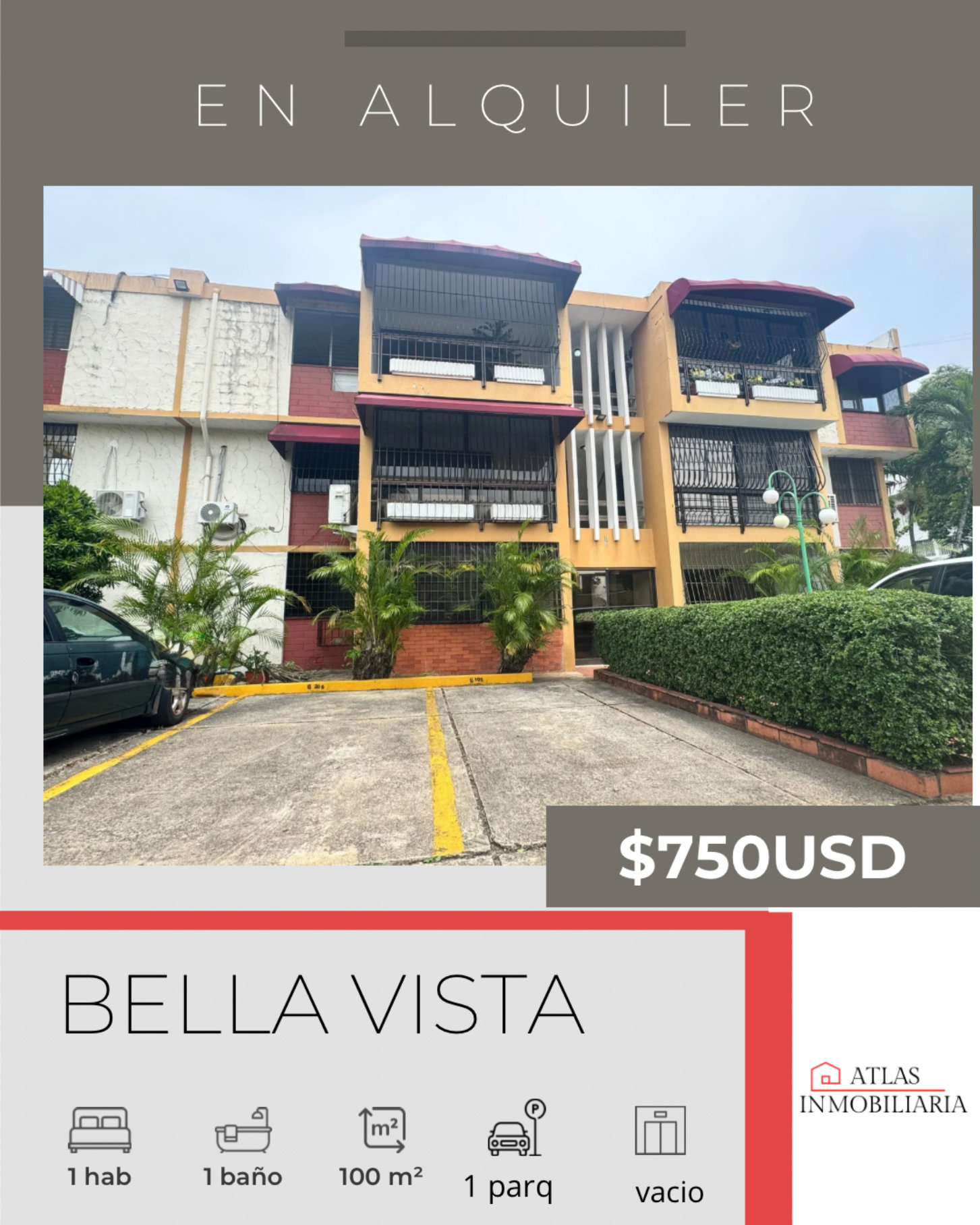 apartamentos - APARTAMENTO EN ALQUILER 