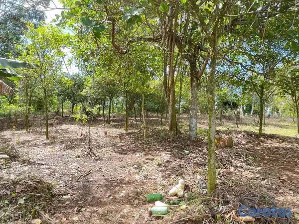 solares y terrenos - Oportunidad: Terreno 3,323 m² con Título en Don Juan, Monte Plata 6