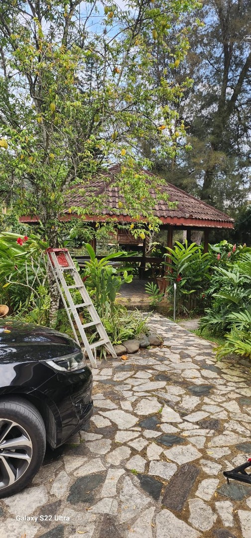 casas - En venta una espaciosa y hermosa casa incluye dos cabañas y un solar grande 6