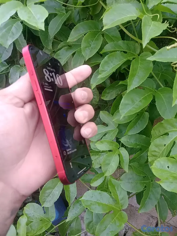 celulares y tabletas - Iphone. iclou  lo vendo en 3000 esta 10 /10 todos original  5