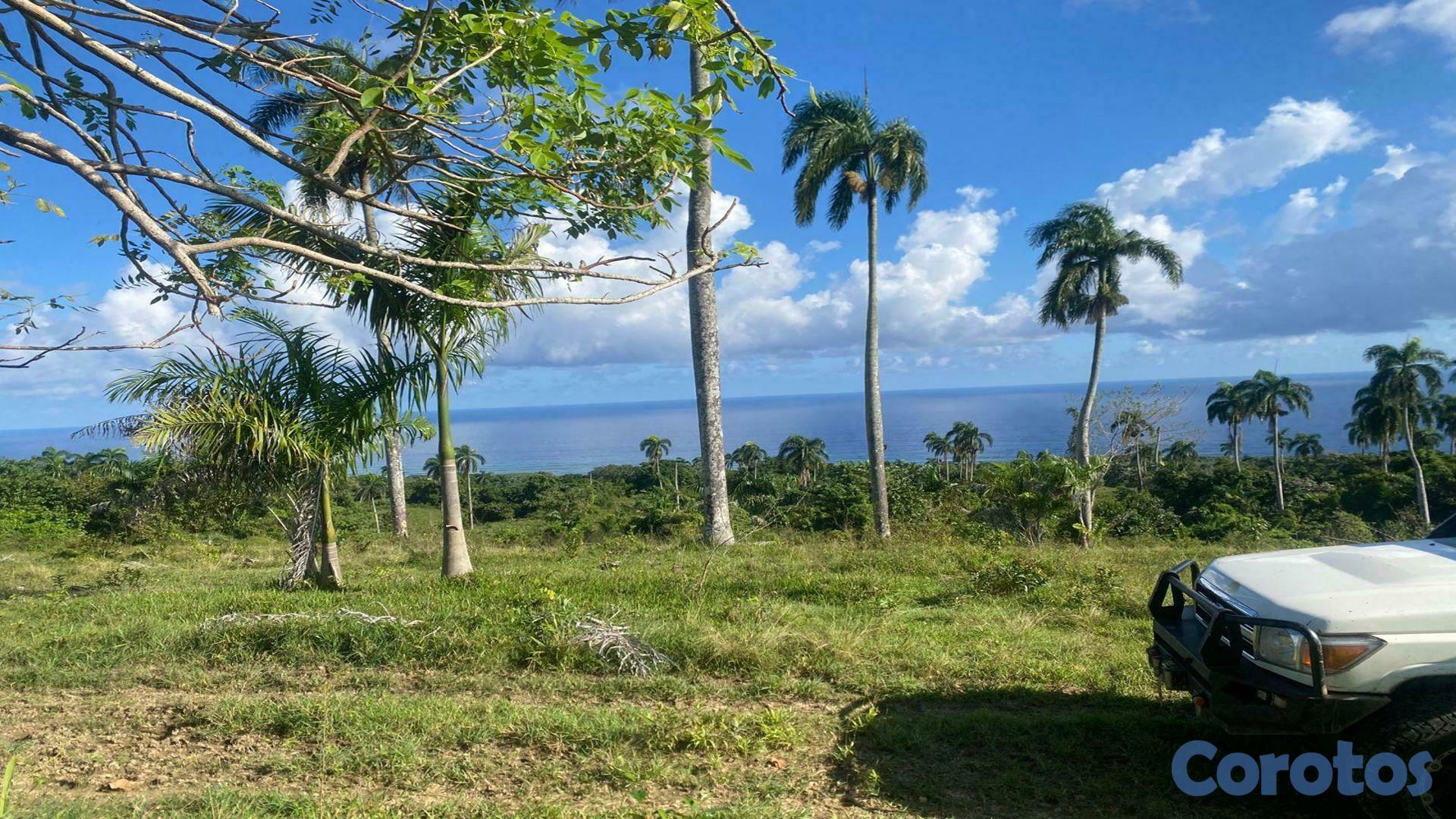 solares y terrenos - Gran Solar en Cabrera Con Vista al Mar 1
