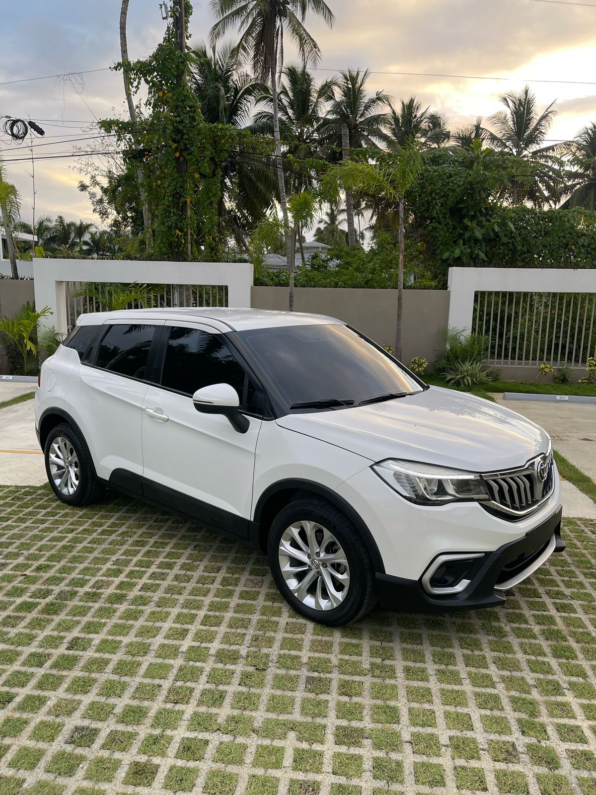 jeepetas y camionetas - brillance v3 2021 1