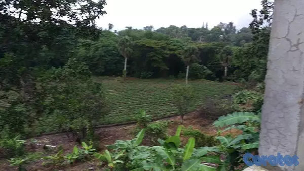 solares y terrenos - Venta de finca con edificación comercial / residencial 5