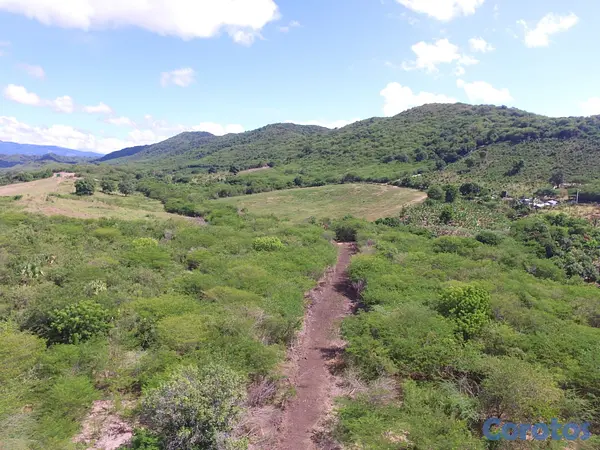 solares y terrenos - Finca en Bani 189.5 Tareas Titulo Definitivo   7