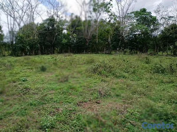 solares y terrenos - finca de 100 tareas con vocación agrícola y ganadera en yamasa  8