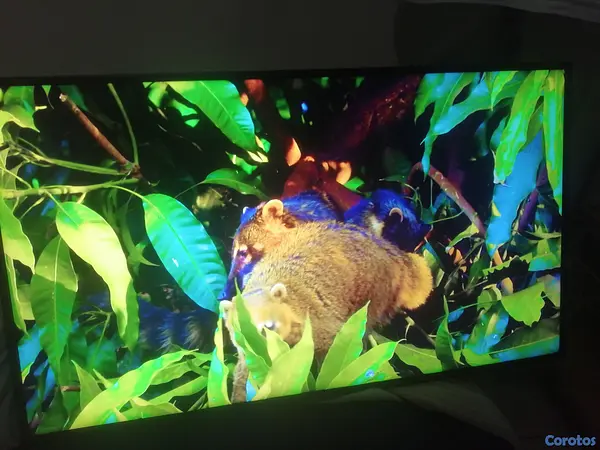 tv - Smart tv 43" 4K Samsung Crystal 2