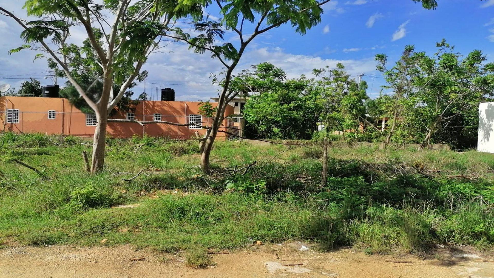 solares y terrenos - Prime 740.15 sqm Lot for Sale in Benerito, La Romana 8