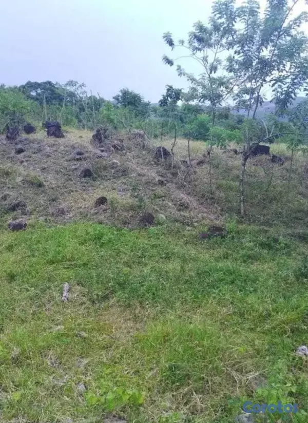solares y terrenos - Se vendé este terreno con título definitivo  7