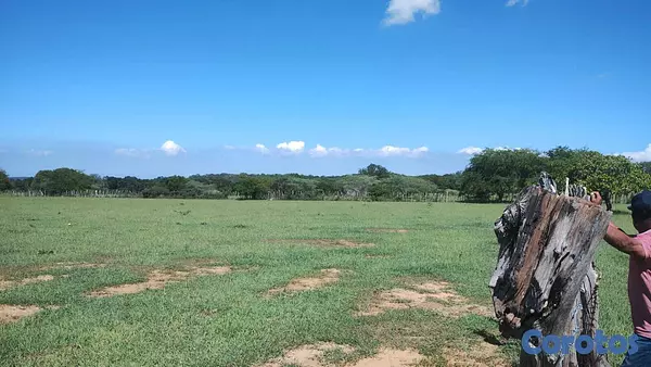 solares y terrenos - Finca Con Titulo 226 Tareas de Tierra.  8