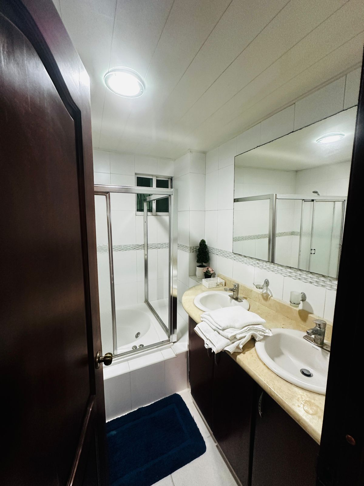 apartamentos - Alquilo apartamento amueblado en Bella Vista  6