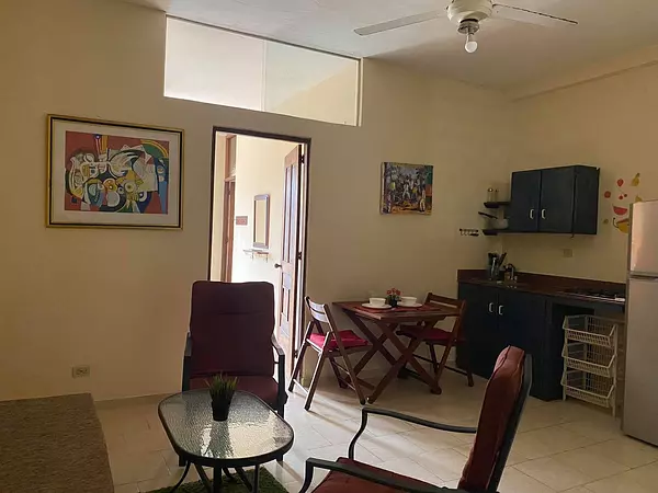 apartamentos - Alquiler Apartamento Amueblado de 1 Habitación Ubicado en la Zona Colonial 2