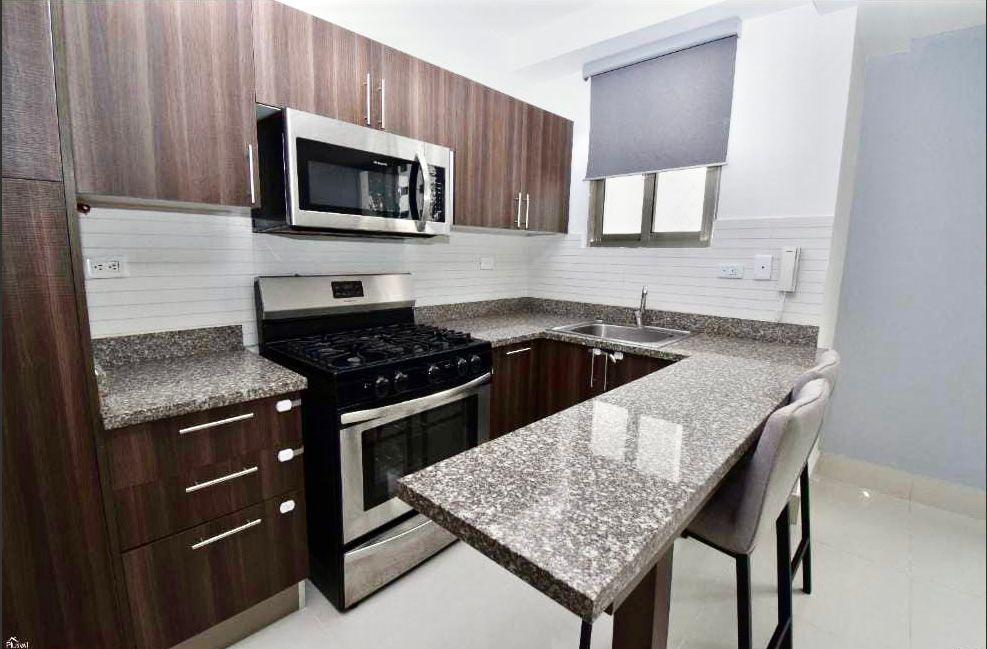 apartamentos - Apartamento en alquiler en Naco 1