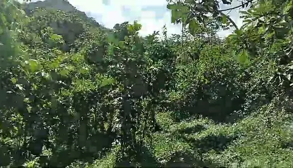 solares y terrenos - Terreno en La Cumbre, Bonao, ideal para villa/hote 5