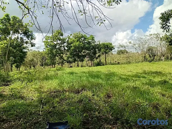 solares y terrenos - finca de 40 tareas en sabanagrande de boya  6