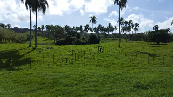 solares y terrenos - Solar/Finca Venta Cabrera 3