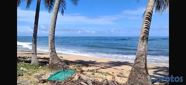 solares y terrenos - Terreno Frente a la playa - 17,615 m² - Sabana de  5