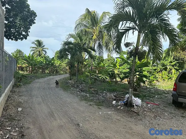 solares y terrenos - Venta de finca con edificación comercial / residencial 4