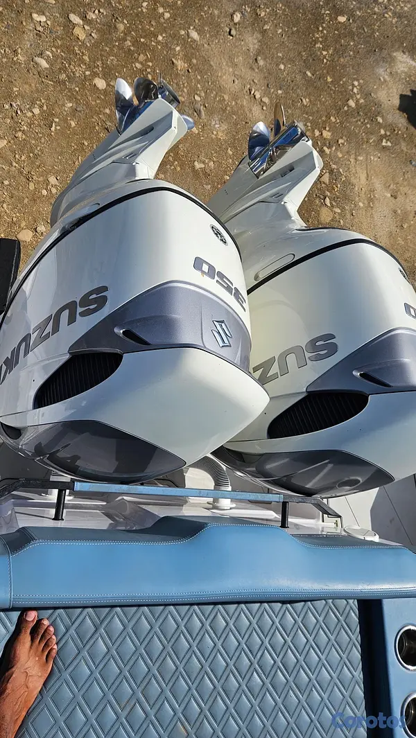 botes - título de florida con su matrícula de navegar en RD 15