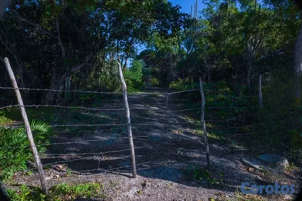 solares y terrenos - VENTA DE TERRENO EN BAHAHIBE - ZONA COSTERA DE REPÚBLICA DOMINICANA 2