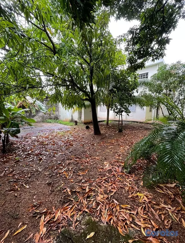 oficinas y locales comerciales - se vende casa  8