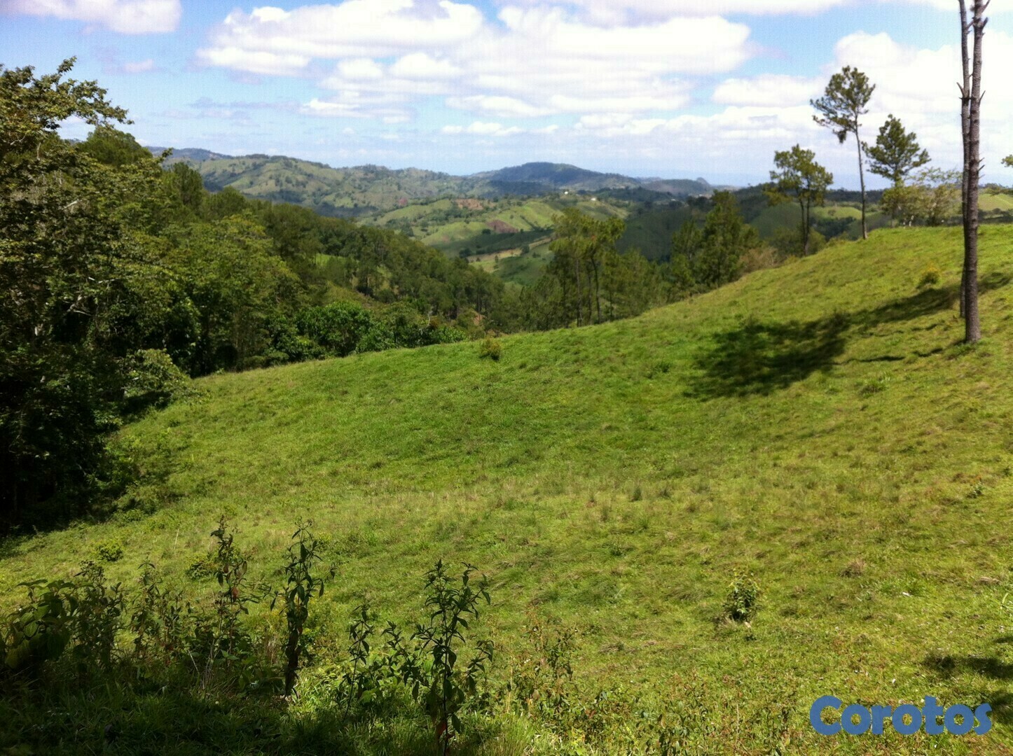 solares y terrenos - Finca en Jarabacoa 2