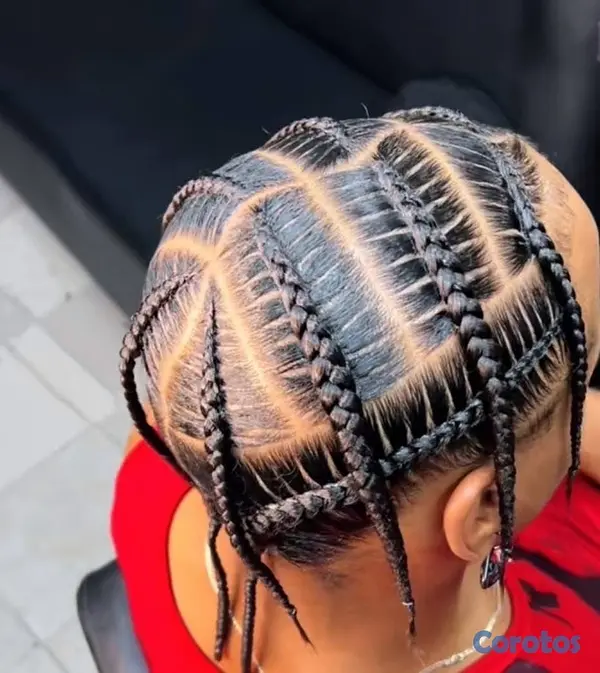 servicios profesionales - trenzas africana  6