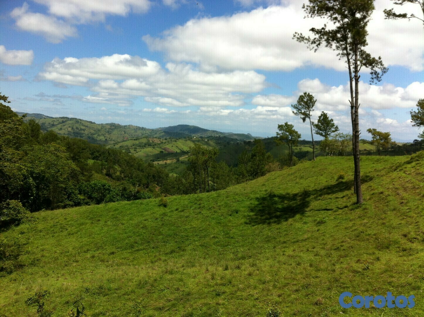 solares y terrenos - Finca en Jarabacoa 3