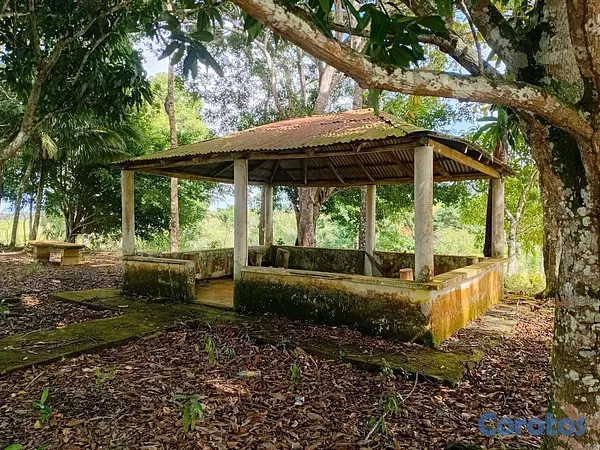 otros inmuebles - finca de 4a tareas en sabana grande de boya  2