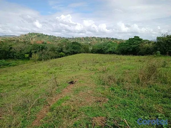 solares y terrenos - finca de 100 tareas con vocación agrícola y ganadera en yamasa  7