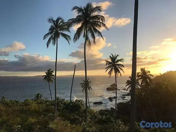 solares y terrenos - Samaná, Punta Balandra - Terreno dentro residencial premium 3