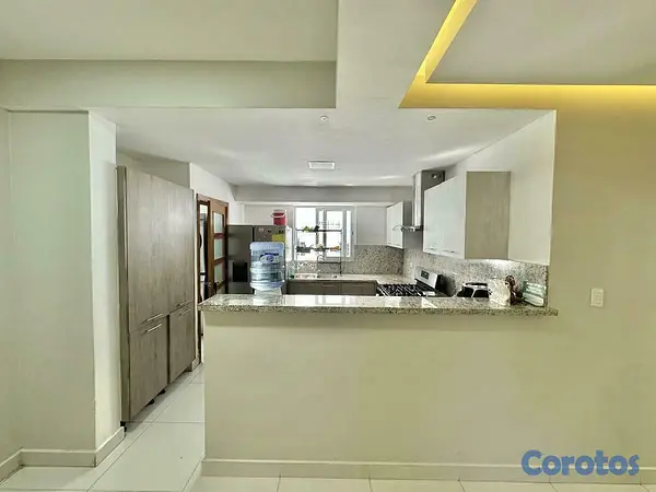 penthouses - Penthouse en Renacimiento 5